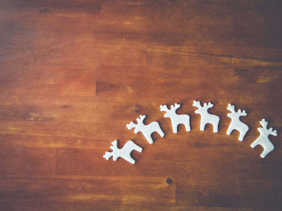 Jeux et faits inusités – Spécial Noël