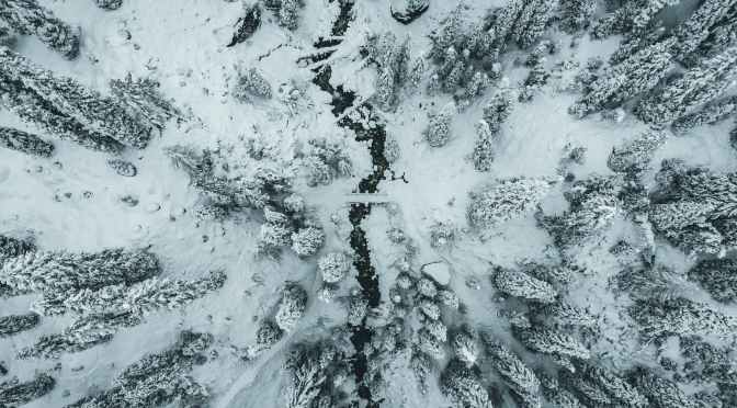 Les chasseurs de monstres