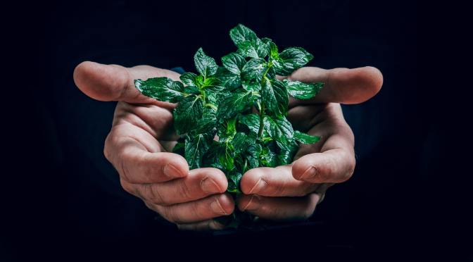 Mode de vie écoresponsable