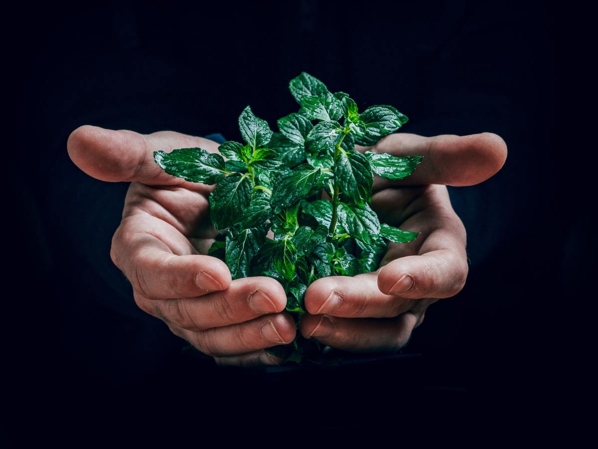 Mode de vie écoresponsable