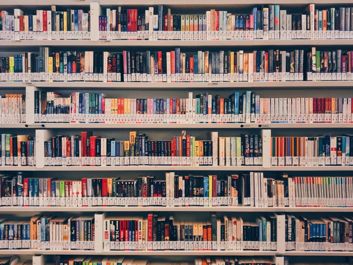 La bibliothèque à De Rochebelle