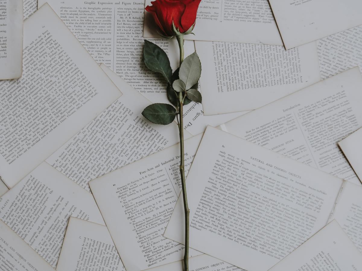 Amour inconditionnel  