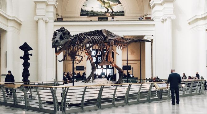 MUSÉE DE LA CIVILISATION