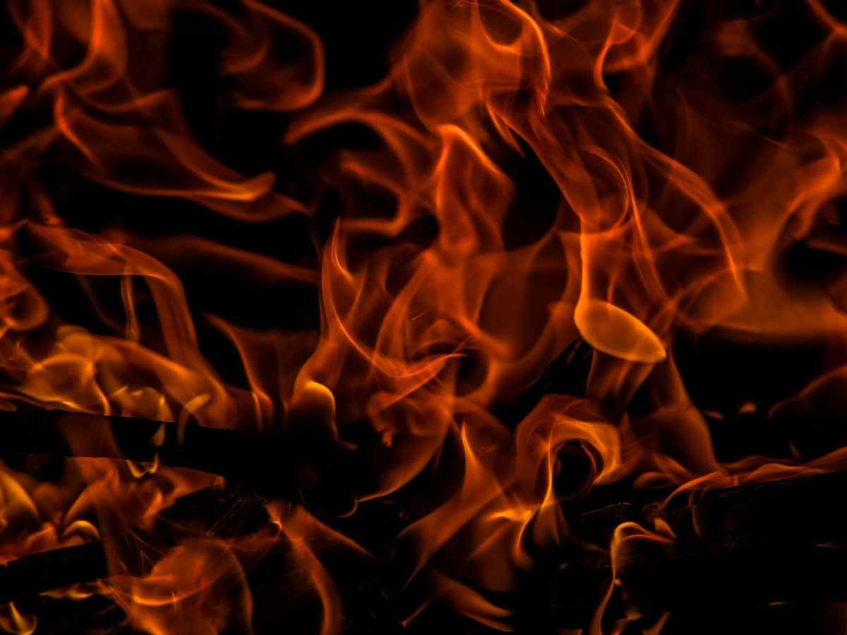 Un livre dont tout élève de De Rochebelle se souvient : Fahrenheit 451.