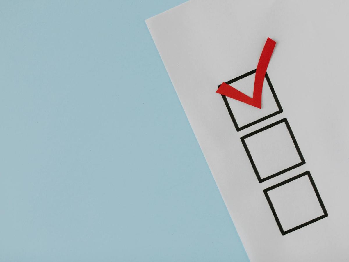 Élections étudiantes 2025 à De Rochebelle : qui a gagné le cœur des élèves ? 